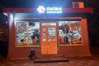 Лапка — фото