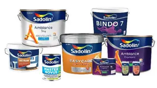 Sadolin Professional - професійні фарби для стін — фото