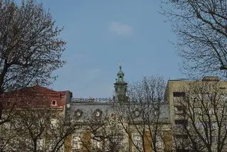 Corin-"Плазма" — фото 4