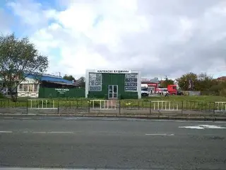 Зелена Огорожа , Зелений Паркан - декоративні огорожі — фото 3