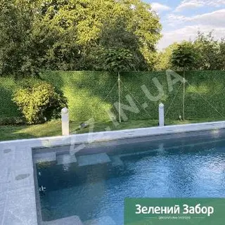 Зелена Огорожа , Зелений Паркан - декоративні огорожі — фото 4