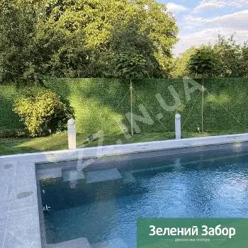 Зелена Огорожа , Зелений Паркан - декоративні огорожі — фото 4