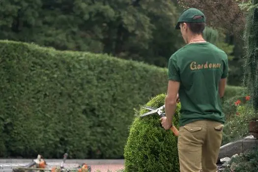 Gardener ландшафтний дизайнер, газон, садівник, садовий центр — фото 3