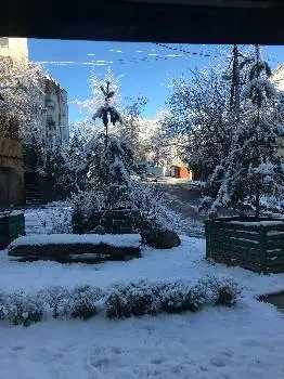 Секція настільного тенісу — фото