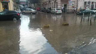 Ватра — фото 4