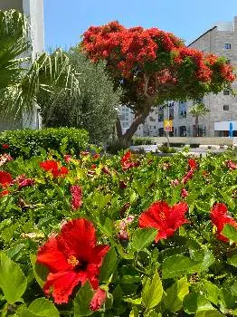 Travel Inn — фото 4