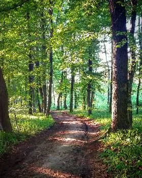 БЛАГОДІЙНИЙ ФОНД СВІТ ДИТИНИ — фото 3
