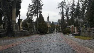 Гуртожиток № 5 ЛНМУ імені Данила Галицького — фото