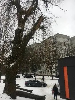 Залізнична районна адміністрація Львівської міської ради — фото 4