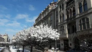 Львівська обласна прокуратура — фото 5
