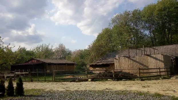 Старий монаший цвинтар Свято-Іванівської Лаври — фото 4