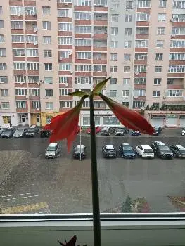 Сихівський відділ соцзахисту — фото