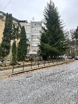 Львівський торговельно-економічний університет (Корпус №3) — фото 5