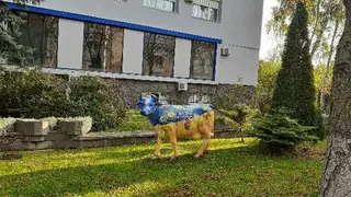 Державний науково-дослідний контрольний інститут ветеринарних препаратів та кормових добавок — фото 2