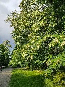 Технологічний коледж НУ "Львівська політехніка" — фото 2