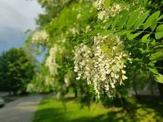 Технологічний коледж НУ "Львівська політехніка" — фото 3