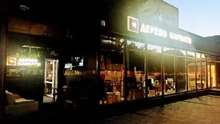 Дерево Карпати — фото