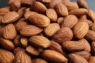 Nuts City — фото 2