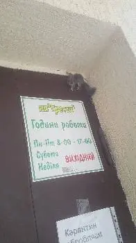Гретта — фото 3