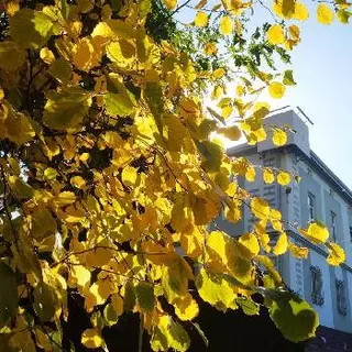 Видавництво Львівської політехніки — фото 3
