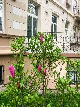 Банк УкрСибБанк — фото 5