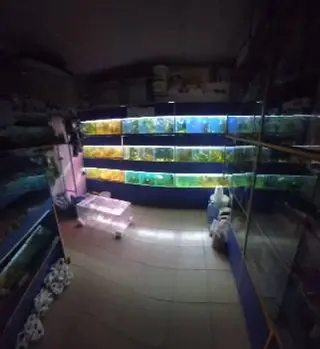 Lemberg Aquarium — фото 4