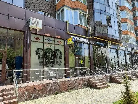 Ветеринарна клініка ВетХелп Львів — фото 2