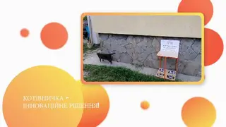 ЛКП "Лев" (Перша Комунальна Ветеринарна Клініка) — фото 2