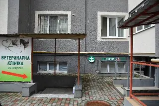 Ветеринарна клініка "Ветсервіс" — фото 2