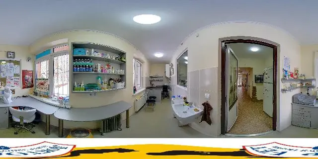 Ветеринарна клініка Доктор VET — фото 2