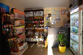 Ветеринарна клініка Mr.Vet — фото 3