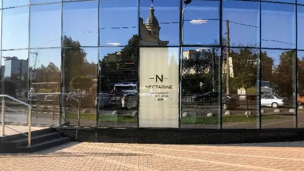 Нектарин Бістро / Nectarine Bistro — фото 4