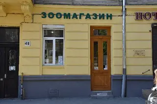 Своє Місце — фото