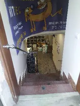 Зоомагазин Кіт Пес — фото 2