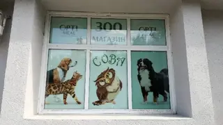 Зоомагазин "Сова" — фото