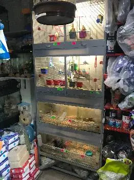 Зоомагазин Золота Рибка — фото 2
