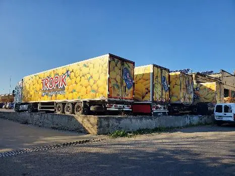 ТзОв "Тропік" — фото 3