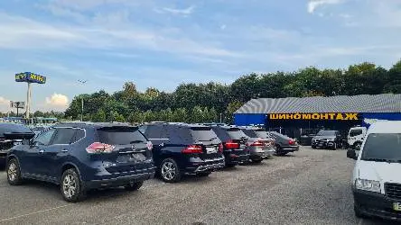 Auto Welt Авто з США і Європи — фото 3