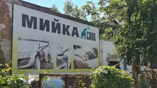 Слон — фото 2