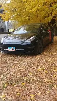 Авто з США TOPcarsUSA Тесла під ключ Тесла сервіс ІФ — фото 3
