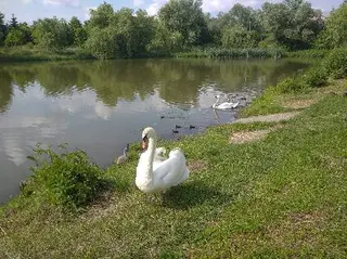 Ресторан "Стара Фортеця" — фото 4