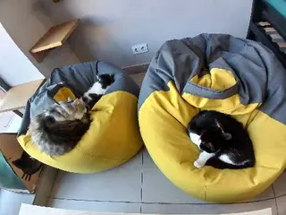 Cat Cafe "Мама-Кішка" 12+ — фото 3
