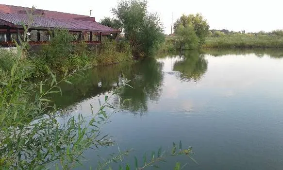 Ресторан Калина — фото 3