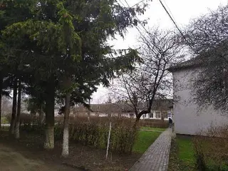 МЕДИЧНИЙ ЦЕНТР "НАРКОЛОГІЯ" виведення із запою, кодування, підшивка — фото