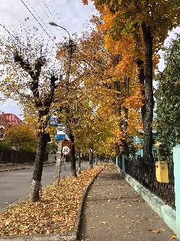 Івано-Франківський обласний фтизіопульмонологічний центр — фото