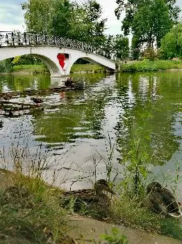 Івано-Франківська обласна дитяча клінічна лікарня — фото 4