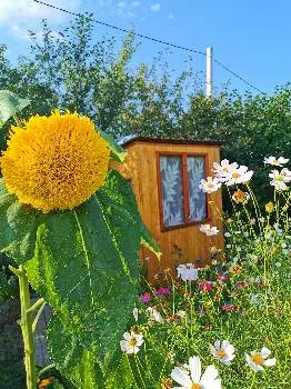 Сон на вуликах "У Петровича" Івано-Франківськ — фото 2