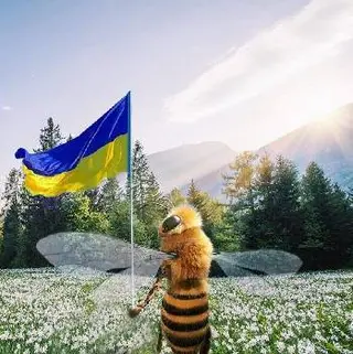 Сон на вуликах "У Петровича" Івано-Франківськ — фото 5