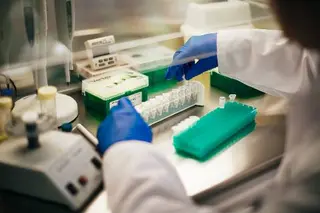 Тест ДНК анализ на отцовство в Ивано-Франковске Медико-генетический центр Мама Папа — фото