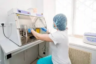 Тест ДНК анализ на отцовство в Ивано-Франковске Медико-генетический центр Мама Папа — фото 2